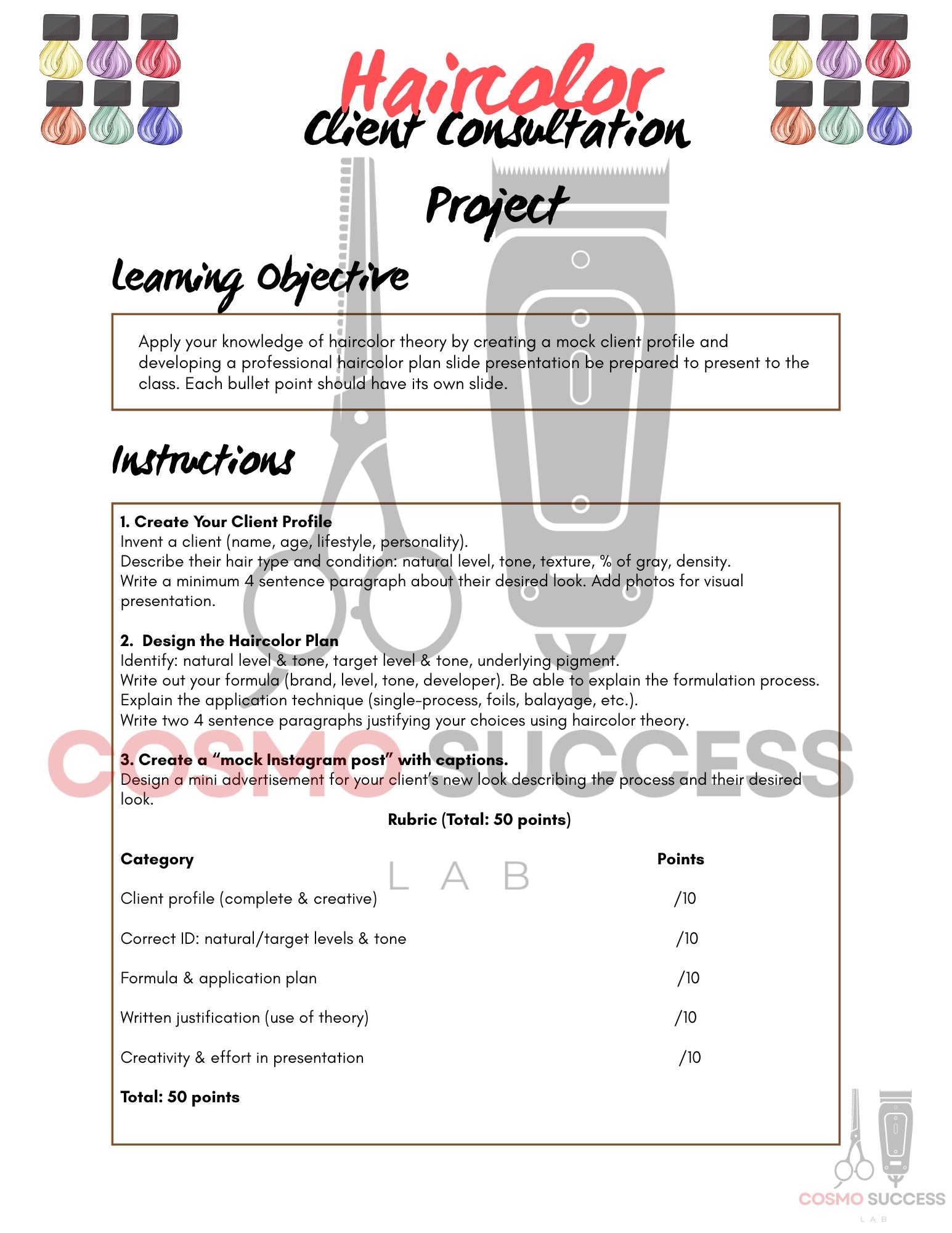 Haircolor Client Consultation Project